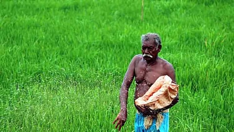 കർഷകരുടെ വരുമാന വർദ്ധനവിന്  മൂല്യവർദ്ധിത ഉൽപ്പന്നങ്ങൾ പ്രോത്സാഹിപ്പിക്കണം: മന്ത്രി പി പ്രസാദ്