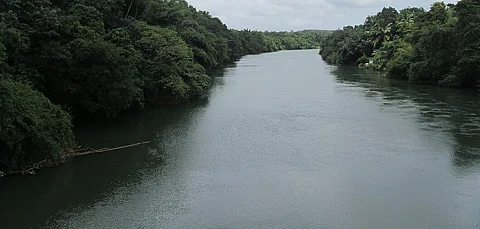 അപകടകരമായി ജലനിരപ്പ് ഉയരുന്നു: മീനച്ചിൽ നദിയുടെ കരയിലുള്ളവർക്ക് ജാഗ്രതാ നിർദേശം | water level in Meenachil river is rising