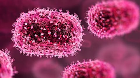 മങ്കിപോക്സ് പ്രതിരോധത്തിനും ചികിത്സയ്ക്കുമായി പുതുക്കിയ മാർഗനിർദേശങ്ങൾ