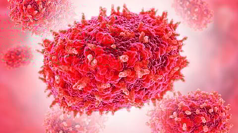 എന്താണ് എംപോക്സ്? ലക്ഷണങ്ങളും, പ്രതിരോധവും | What is Mpox, Symptoms and prevention