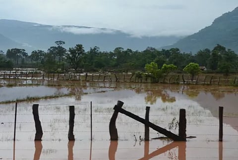ലാവോസിൽ കൊടുങ്കാറ്റ്: 170,000-ത്തിലധികം ആളുകളെ ബാധിച്ചു