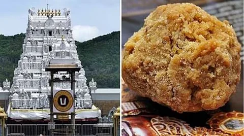 മൃഗക്കൊഴുപ്പ് വിവാദം ബാധിച്ചില്ല; തിരുപ്പതിയില് 4 ദിവസം കൊണ്ട് വിറ്റത് 14 ലക്ഷം ലഡു