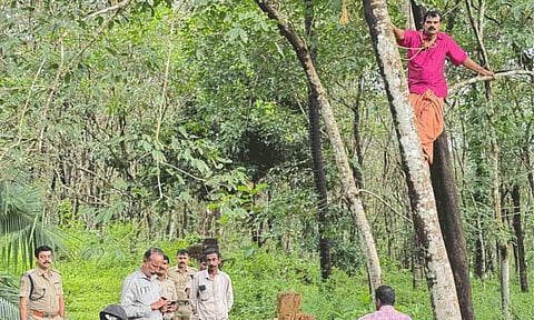 കാട്ടുപന്നിക്കൂട്ടം കൃഷി നശിപ്പിച്ചു; കർഷകൻ ആത്മഹത്യ ഭീഷണി മുഴക്കി