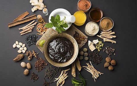 Ayurveda Therapist course