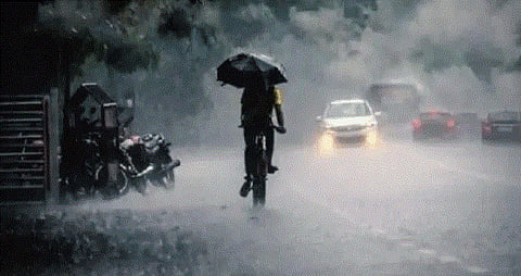 ന്യൂനമർദ്ദം സജീവം, സംസ്ഥാനത്ത് പരക്കെ മഴ; 9 ജില്ലകളില് യെല്ലോ അലേർട്ട് | Kerala rains: yellow alert for 9 districts