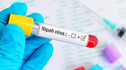 നിപ മരണം: അതിര്ത്തികളില് കര്ശന പരിശോധന ഏർപ്പെടുത്തി തമിഴ്നാട് | Tamil Nadu imposes strict border checks