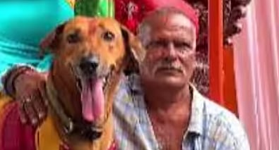 വിനായക ചതുർത്ഥി ആഘോഷങ്ങളിലെ താരമായി ‘ഷേരു’ | Dog participating in Ganesh Chaturthi celebrations