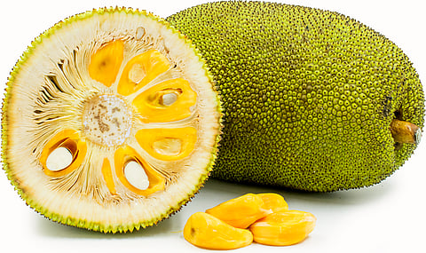 ചക്കയുടെ ആരോഗ്യ ഗുണങ്ങള് അറിയോ.? BENEFITS OF JACKFRUIT