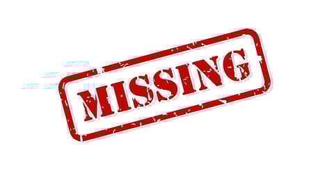 കോതമംഗലത്ത് വനത്തിൽ പശുവിനെ തിരഞ്ഞുപോയ മൂന്ന് സ്ത്രീകളെ  കാണാതായി