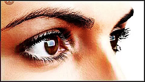 കണ്ണുകളുടെ ആരോഗ്യം നിലനിര്ത്താന് ഡയറ്റില് ഉള്പ്പെടുത്താം ഈ ഭക്ഷണങ്ങള്… | These foods can be included in the diet to maintain eye health…