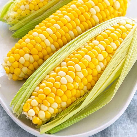 അറിയാതെ പോകരുത് ചോളത്തിന്റെ ഈ ഗുണങ്ങൾ |  Benefits of corn