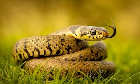 പ്രതീകാത്മക ചിത്രം