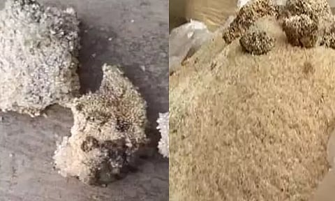 പഴകിയ ഭക്ഷ്യകിറ്റ് വിതരണം ചെയ്ത സംഭവം; സംസ്ഥാന ഭക്ഷ്യ കമ്മീഷൻ എഡിഎമ്മിനോട് വിശദീകരണം തേടി | State Food Commission