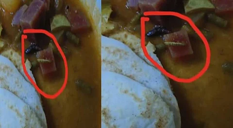 പത്തനംതിട്ടയിൽ കോളേജ് ഹോസ്റ്റലിലെ സാമ്പാറിൽ പുഴു; പ്രതിഷേധവുമായി വിദ്യാർത്ഥികൾ