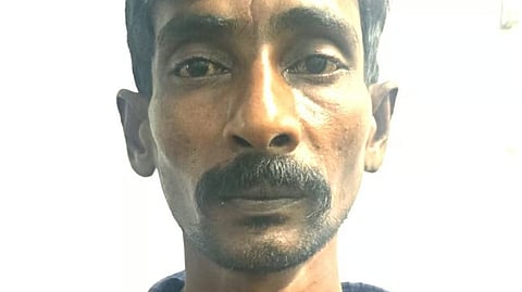 കഞ്ചാവ് ചെടി നട്ടുവളർത്തി; യുവാവ് അറസ്റ്റിൽ | Cannabis plant