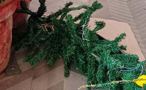 ക്രിസ്മസ് ആഘോഷത്തിനിടെ സ്കൂളുകളിൽ ഉണ്ടായ ആക്രമണം: ഗൂഢാലോചന ഇല്ലെന്ന് പോലീസ് | Christmas crib attack Incidents