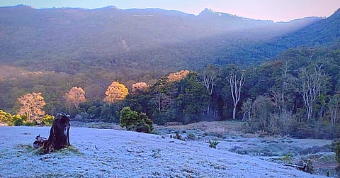 താപനില പൂജ്യത്തിൽ: മഞ്ഞ് പുതപ്പണിഞ്ഞ് തെക്കിൻ്റെ കശ്മീർ ! | Snow fall in Munnar