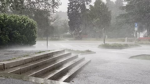 ഫിൻജാൽ ഇഫക്ട് ?: നാളെ വയനാടുൾപ്പെടെ 4 ജില്ലകളിൽ റെഡ് അലർട്ട്, ഇന്ന് 4 ഇടങ്ങളിൽ ഓറഞ്ച്, 8 ഇടങ്ങളിൽ യെല്ലോ അലർട്ടുകൾ | Red alert in Wayanad tomorrow