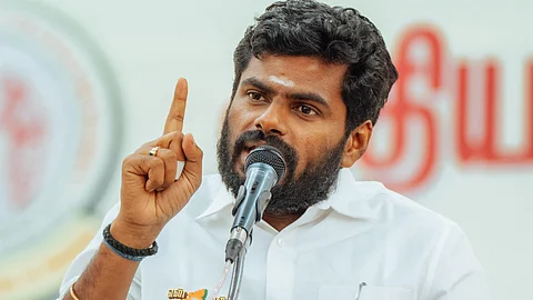 K Annamalai about BJP