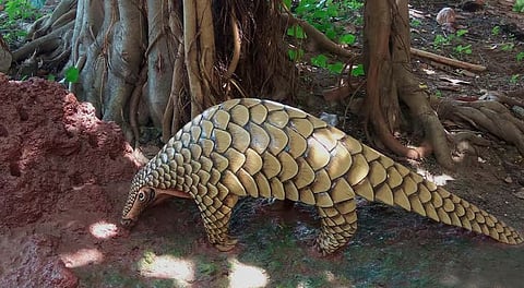 ഉടുമ്പ് കടത്ത്, വിൽക്കാൻ ശ്രമിച്ചത് ഒരു കോടിക്ക്; സിനിമാ സ്റ്റൈലിൽ വളഞ്ഞിട്ട് പിടികൂടി വനംവകുപ്പ്; ആറു പേർ അറസ്റ്റിൽ | Monitor lizards