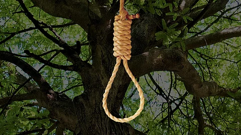 hanging