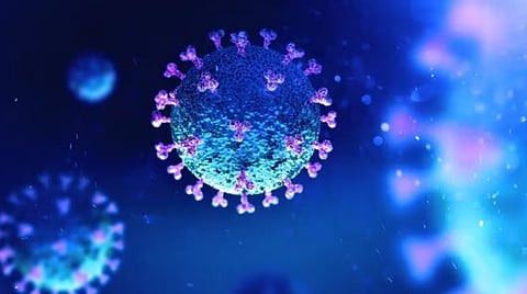 HMPV വൈറസ്; ജനങ്ങൾ ജാഗ്രത പാലിക്കണമെന്ന് കേന്ദ്രസർക്കാർ, ബോധവത്കരണം നൽകാൻ സംസ്ഥാനങ്ങൾക്ക് നിർദ്ദേശം | HMPV virus