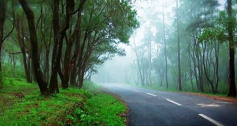 പൊന്മുടിയിൽ സന്ദർശക പ്രവാഹം. | Visitor’s Flow in Ponmudi