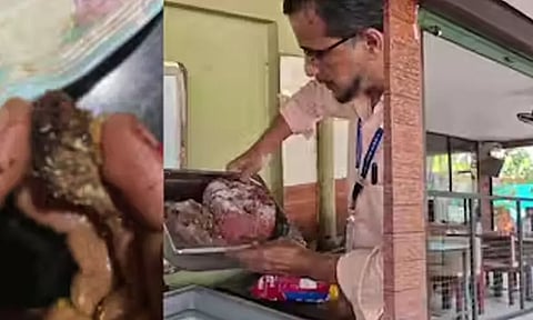 അൽഫാമിൽ പുഴു; കോഴിക്കോട് കാറ്ററിങ് യൂണിറ്റ് അടച്ചുപൂട്ടി | food safety