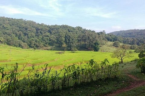 Hubbali-Ankola Rail Line: Karnataka HC extends stay on controversial clearance