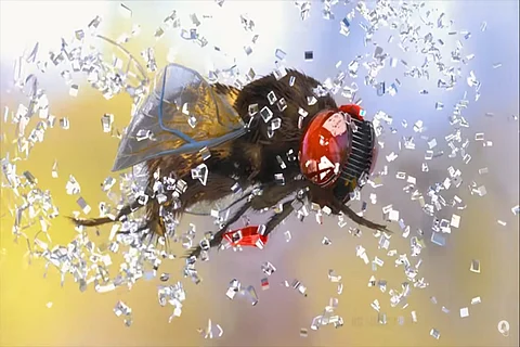 Screenshot from 3.0 vs Eega