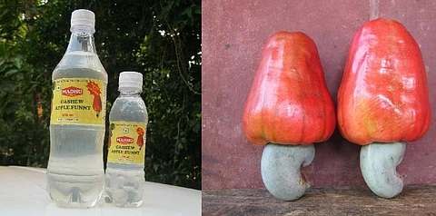 After Fenny, the cashew fruit finds its purpose in a 'Funny' drink