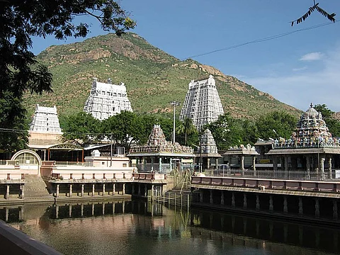 Over 500 trees to be felled in Tiruvannamalai to build guest house for pilgrims