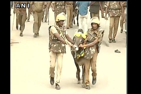 In Jallikattu heartland Madurai, supporters face police lathis instead of bulls