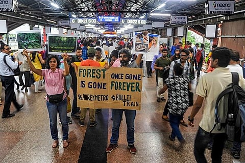 SC bars further felling of trees in Mumbai's Aarey after authorities axe over 2000