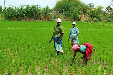 AWS to use cloud tech to help farmers make informed decisions and increase yield