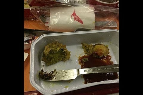 Passenger finds cockroach in Air India meal, airline fines caterer
