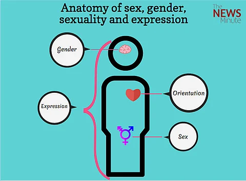 Understanding sex and gender: They are connected, but not interdependent