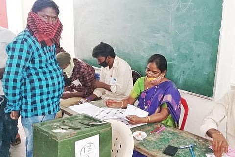 Local body elections