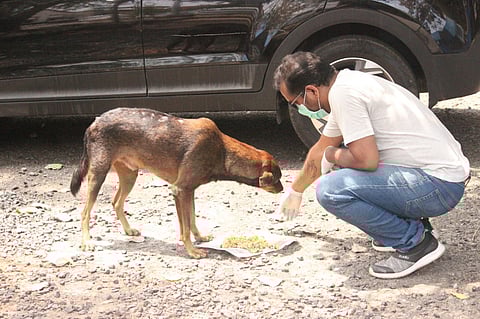 These Kerala volunteers feed hundreds of animals and birds during lockdown