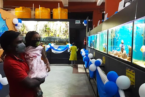 man in front of aquarium