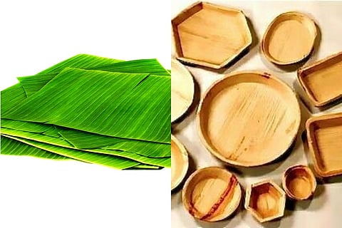 TN plastic ban effect: Farmers see new demand for banana, areca nut leaves