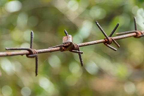 Sri Lankan refugee commits suicide in Madurai camp