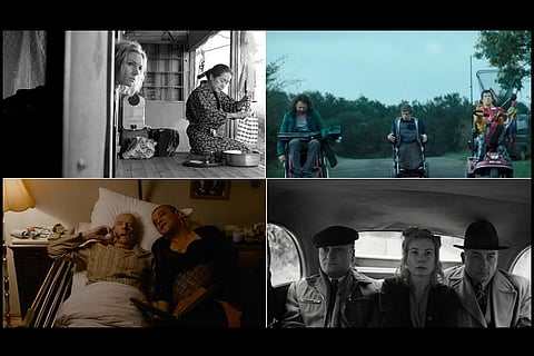 The world's my oyster: Snapshots of poignant cinema from the B'luru International Film Fest