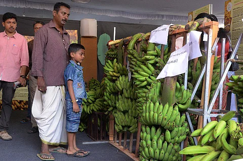 Kerala goes bananas: A festival with more than 150 varieties of the fruit