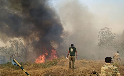 Major fire breaks out at Bandipur Tiger Reserve, hundreds of acres destroyed