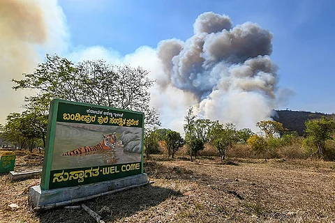 Fire in Bandipur Tiger Reserve finally put out after 5 days