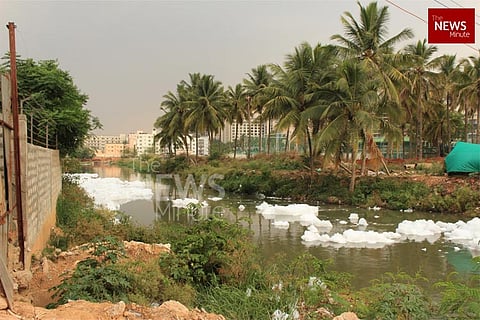 ‘Man-made catastrophe’: NGT Commission submits scathing report on Bellandur Lake