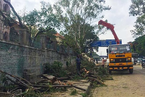 Image for Representation