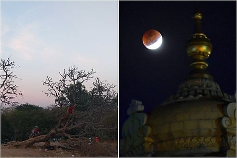 Selfie with the moon: The lunar eclipse experience at Bengaluru’s Lalbagh
