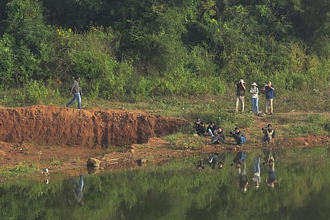 Meet Bengaluru’s vibrant community of birdwatchers